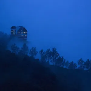 Fragrant Nature - A Five Star Classified 5*, Munnar India
